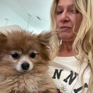 Meet your Posher, Lore